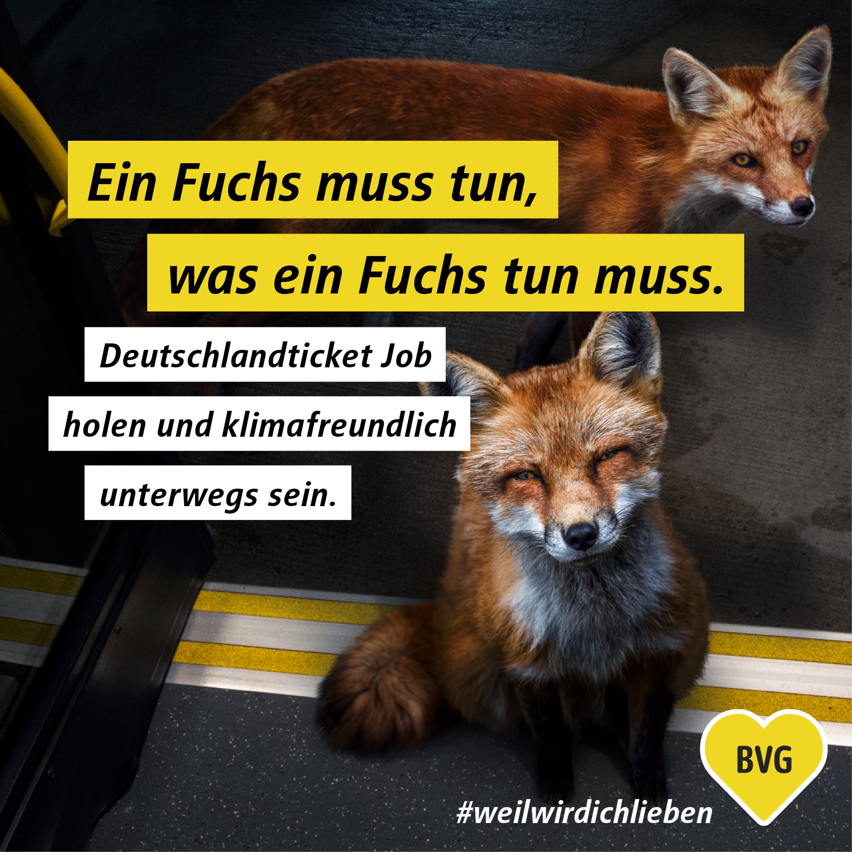 BVG_Fuechse_FB_Still-Ein-Fuchs-muss-tun