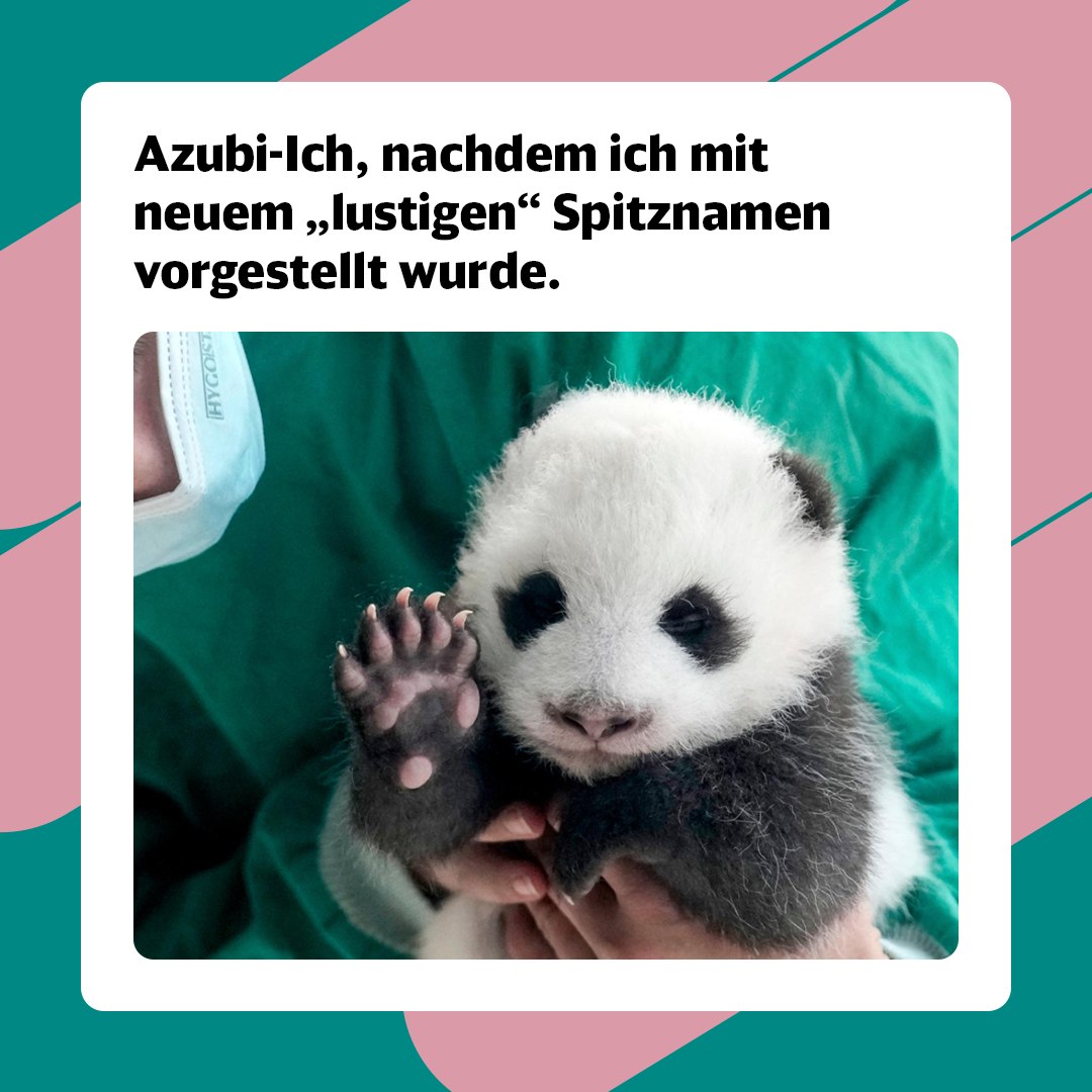 Meine Spitznamen waren “mit kommen”, “ey du” und nach meinem dritten Lehrjahr “die Neue”. Was sind deine Azubi-Spitznamen #DBKarriere #WasIstDirWichtigFoto- AP